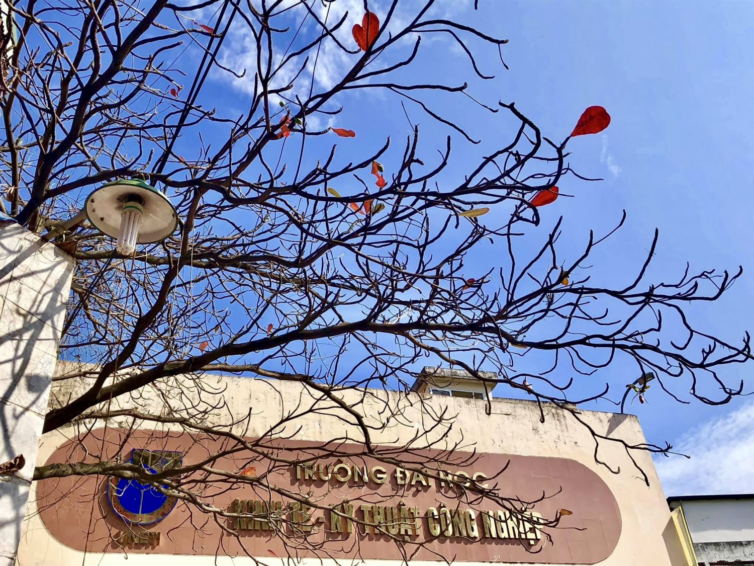 Góc chill mùa đông UNETI